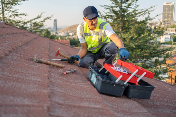 Best Shed Removal  in Lden, MA